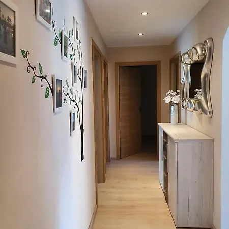 Apartment Cime L'est