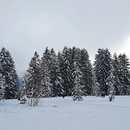 Apartament Cime L'est Saint-Maurice