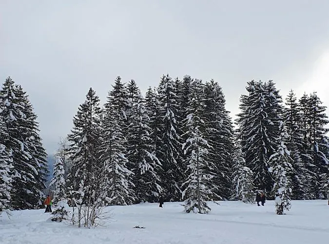Apartamento Cime L'est Saint-Maurice